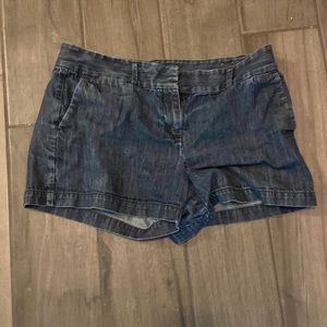 Shorts,denim,blue,the loft